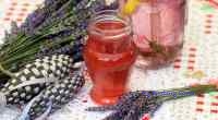 Syrop z lawendy
